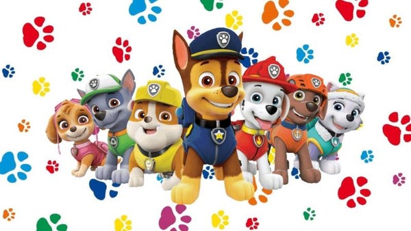 paw patrol c51