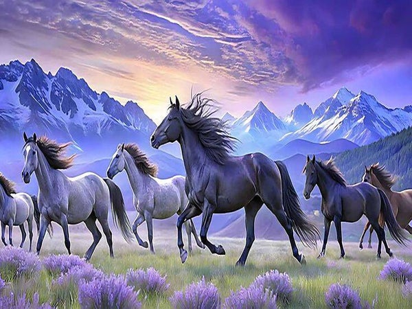 paarden d49