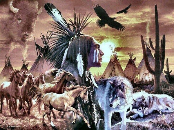 indiaan met paard/wolf d65