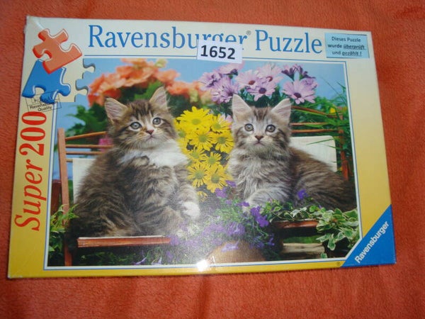 Katzen und Blumen #1652