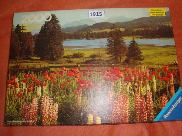 Mohnblumenwiese #1915