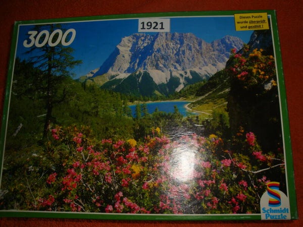 Dolomiti #1921