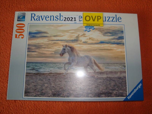 Pferd am Strand #2021