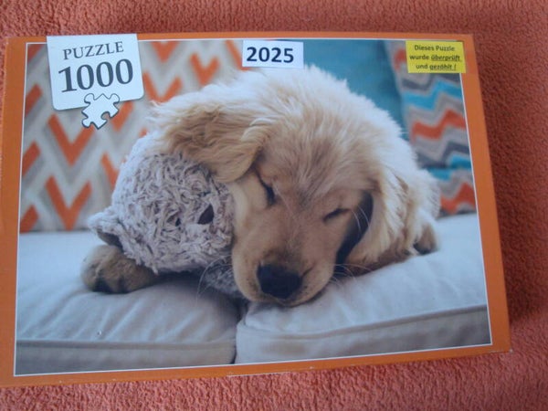 Hundchen #2025