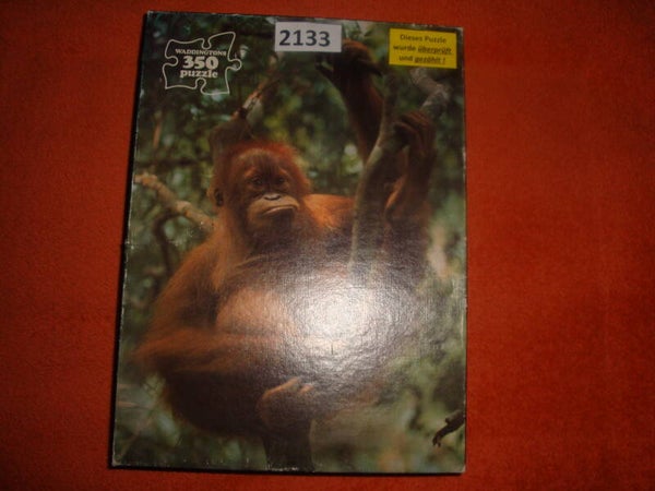 #2133 - Orang Utan