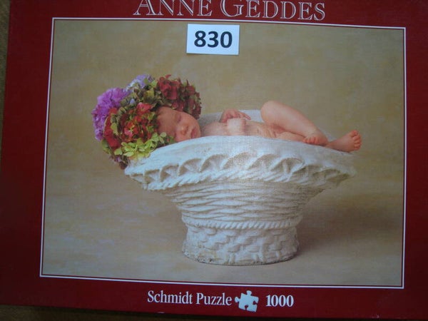 Anne Geddes  #830