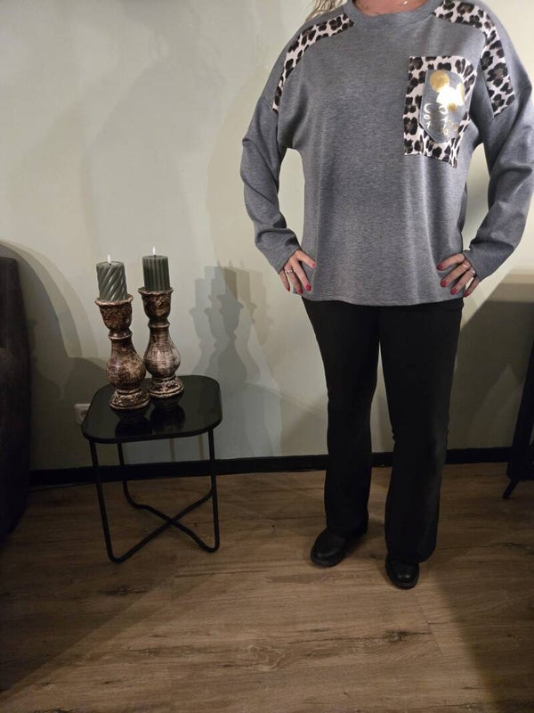 Mickey trui grijs 01530.06