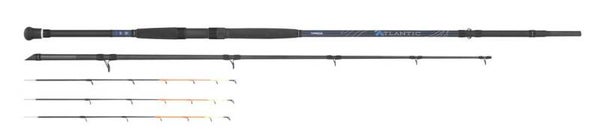 CANNA TUBERTINI  DA BARCA F1 ATLANTIC 2 - 3,20 MT