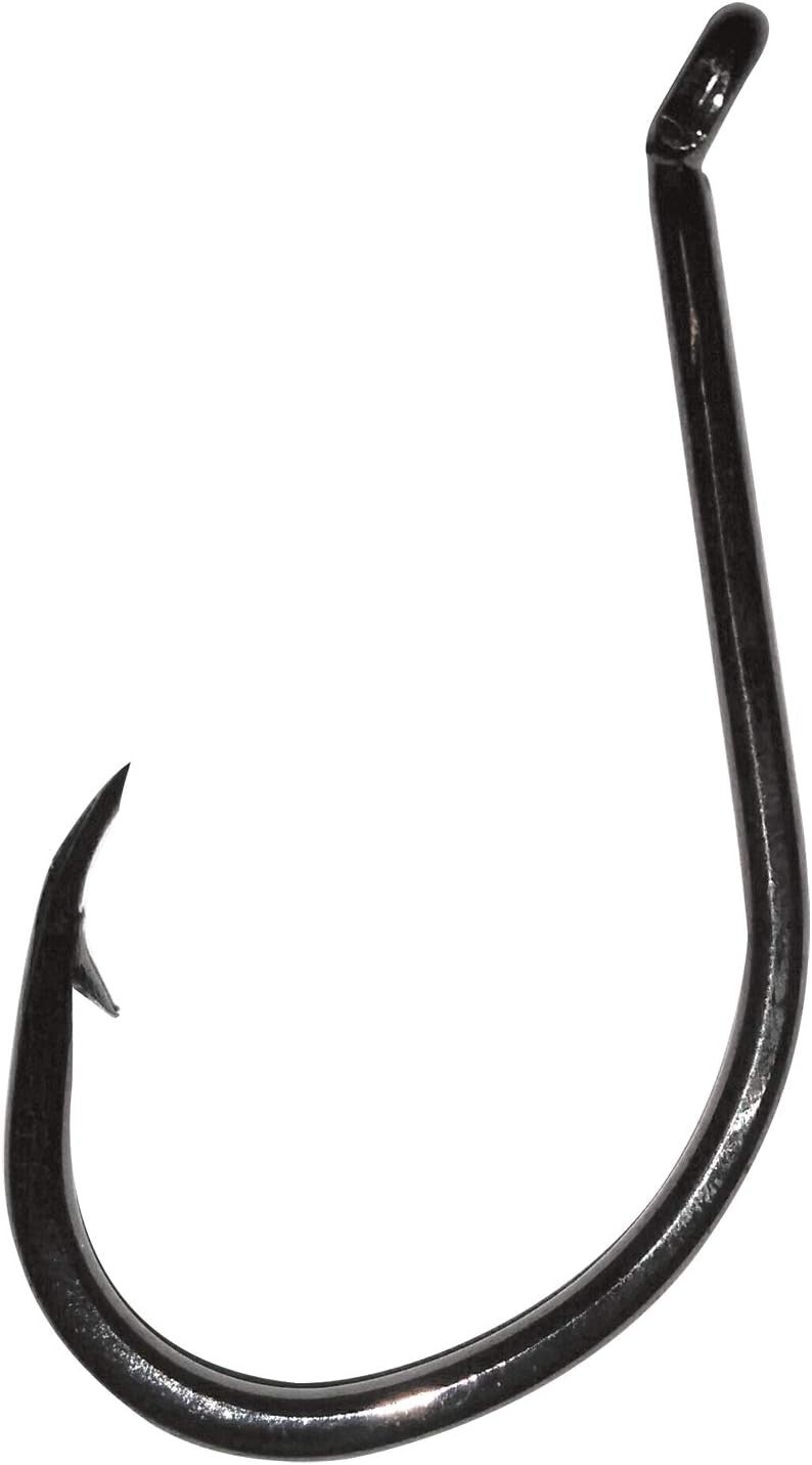 AMI JATSUI HHS CUT SSW BN
