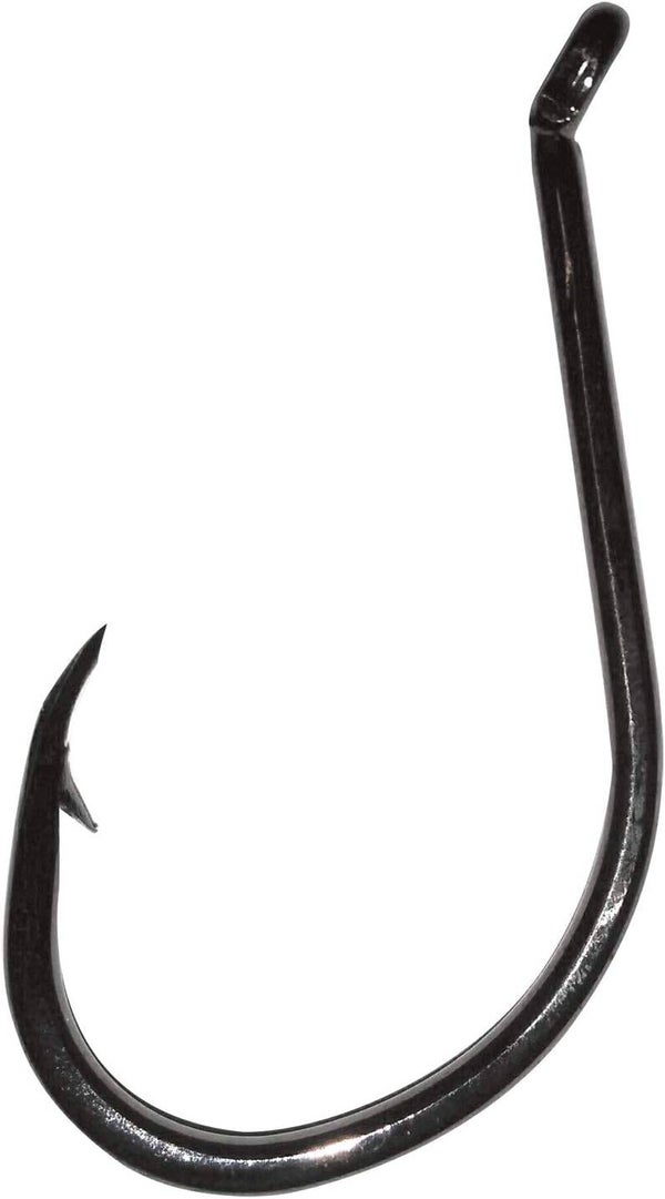 AMI JATSUI HHS CUT SSW BN