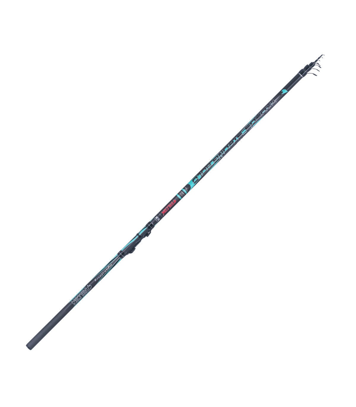 CANNA BOLOGNESE FALCON TAURUS STRONG