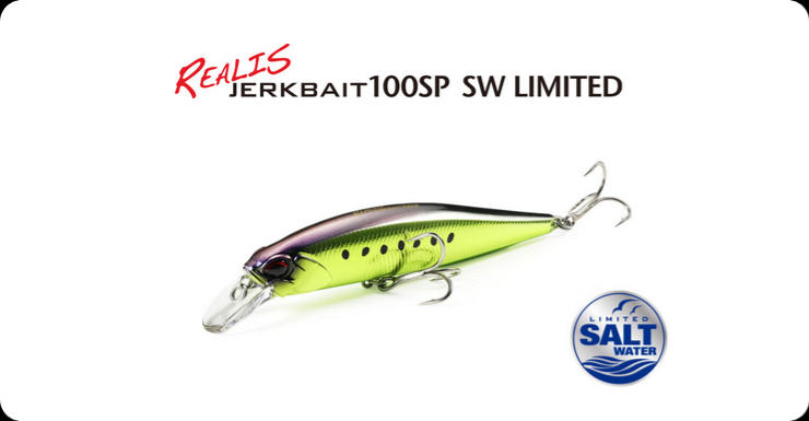 ARTIFICIALE DUO REALIS JERKBAIT 100 SP SW