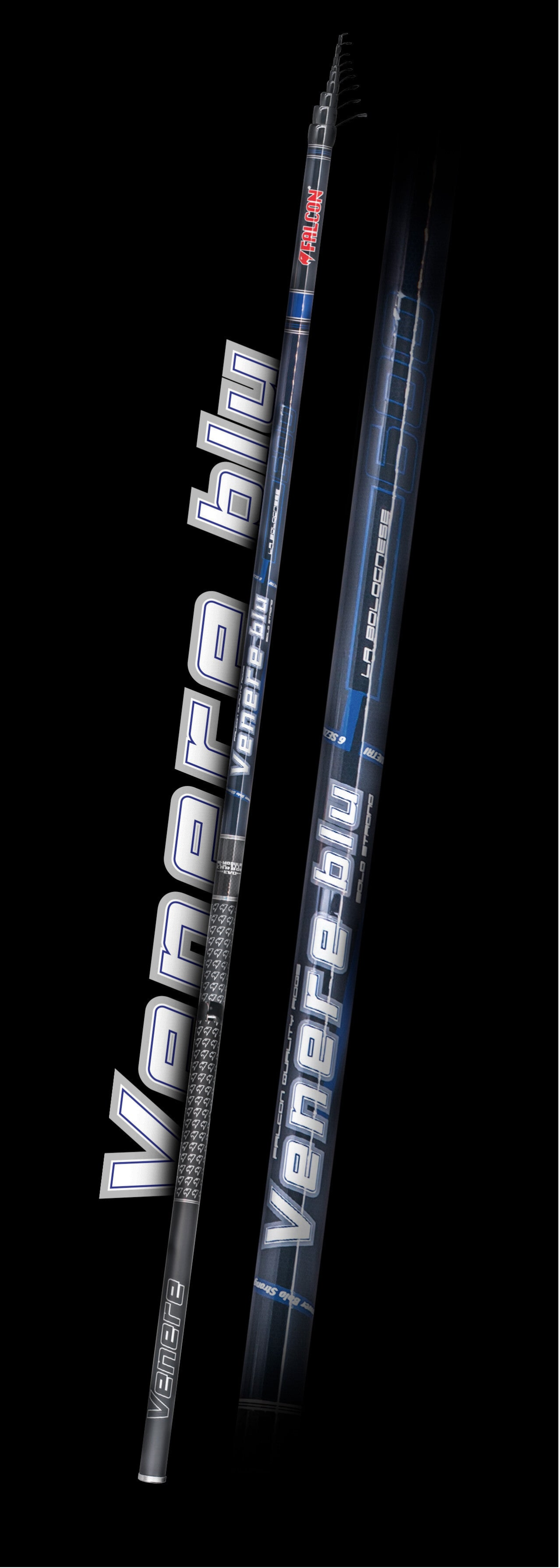 CANNA BOLOGNESE FALCON VENERE BLU