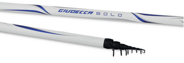 CANNA BOLOGNESE TUBERTINI GIUDECCA BOLO