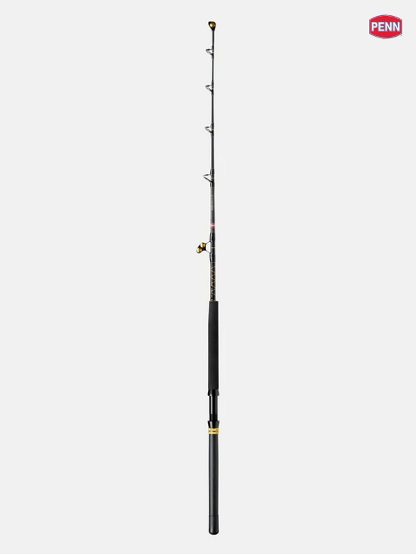 CANNA TRAINA DRIFTING PENN SQUALL 2 - 60-130 LB