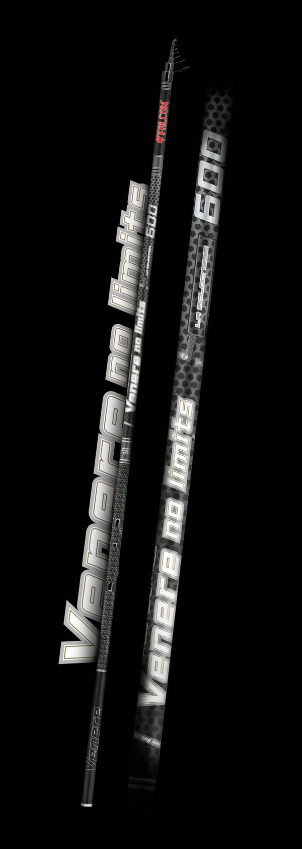 CANNA BOLOGNESE FALCON VENERE NO LIMITS