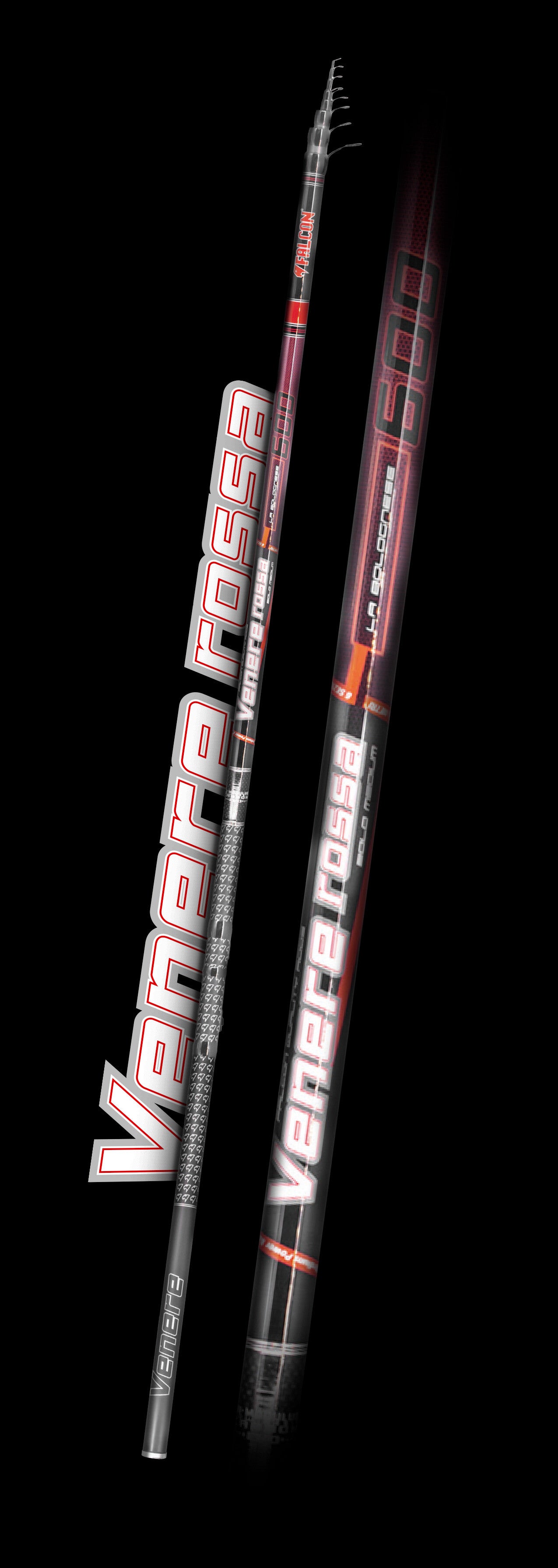 CANNA BOLOGNESE FALCON VENERE ROSSA