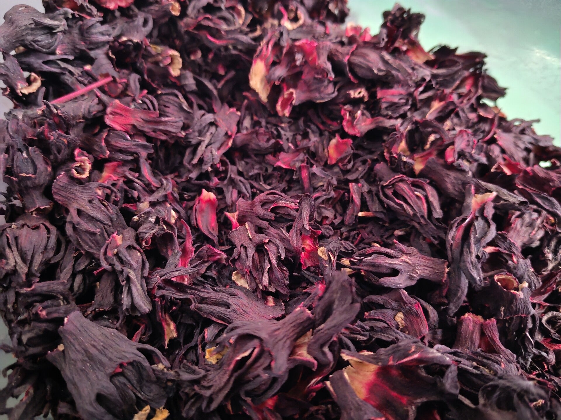 🌺 Pure Hibiscus Flowers