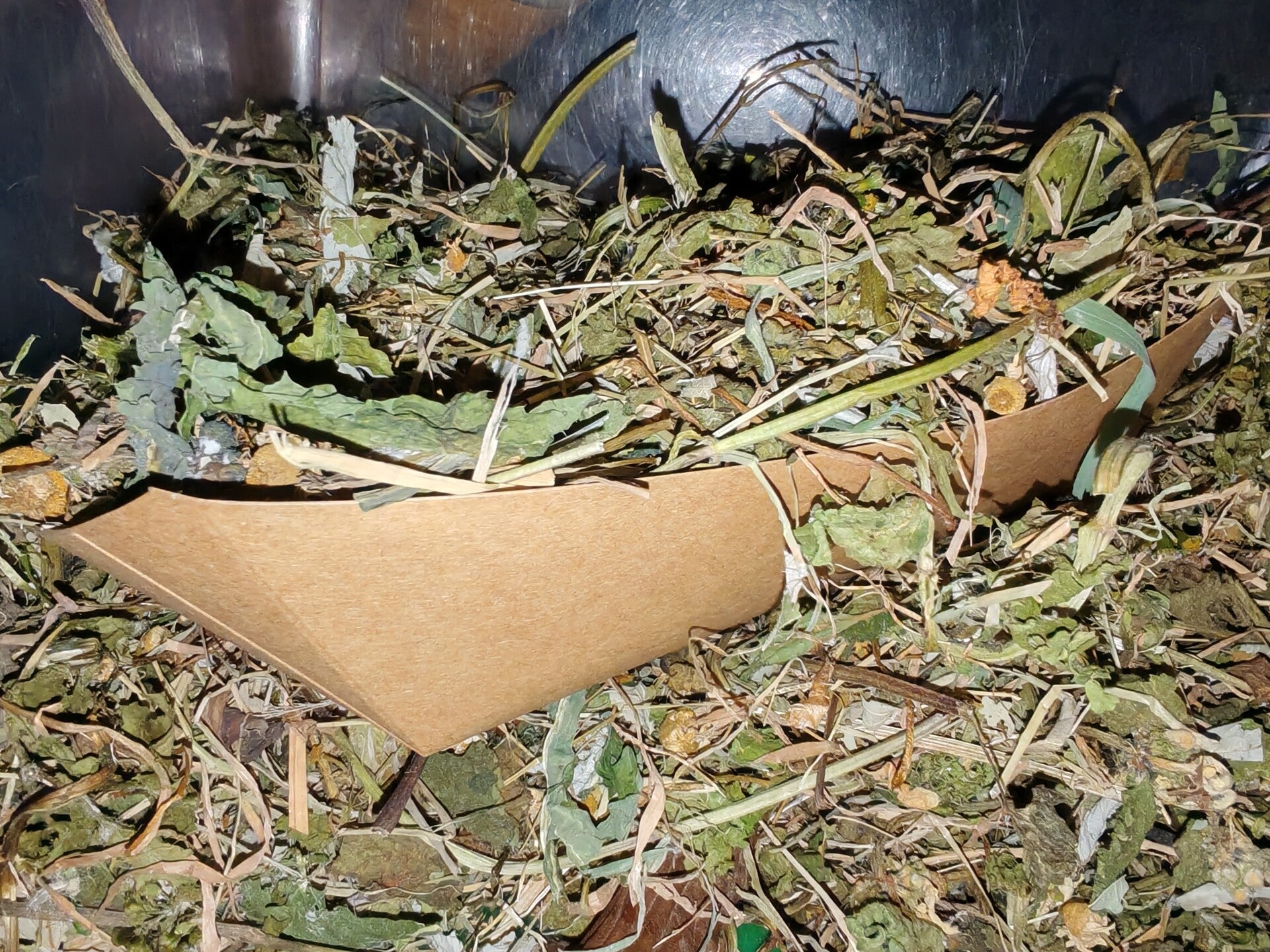 🌿 Recovery & Comfort Support Forage Mix