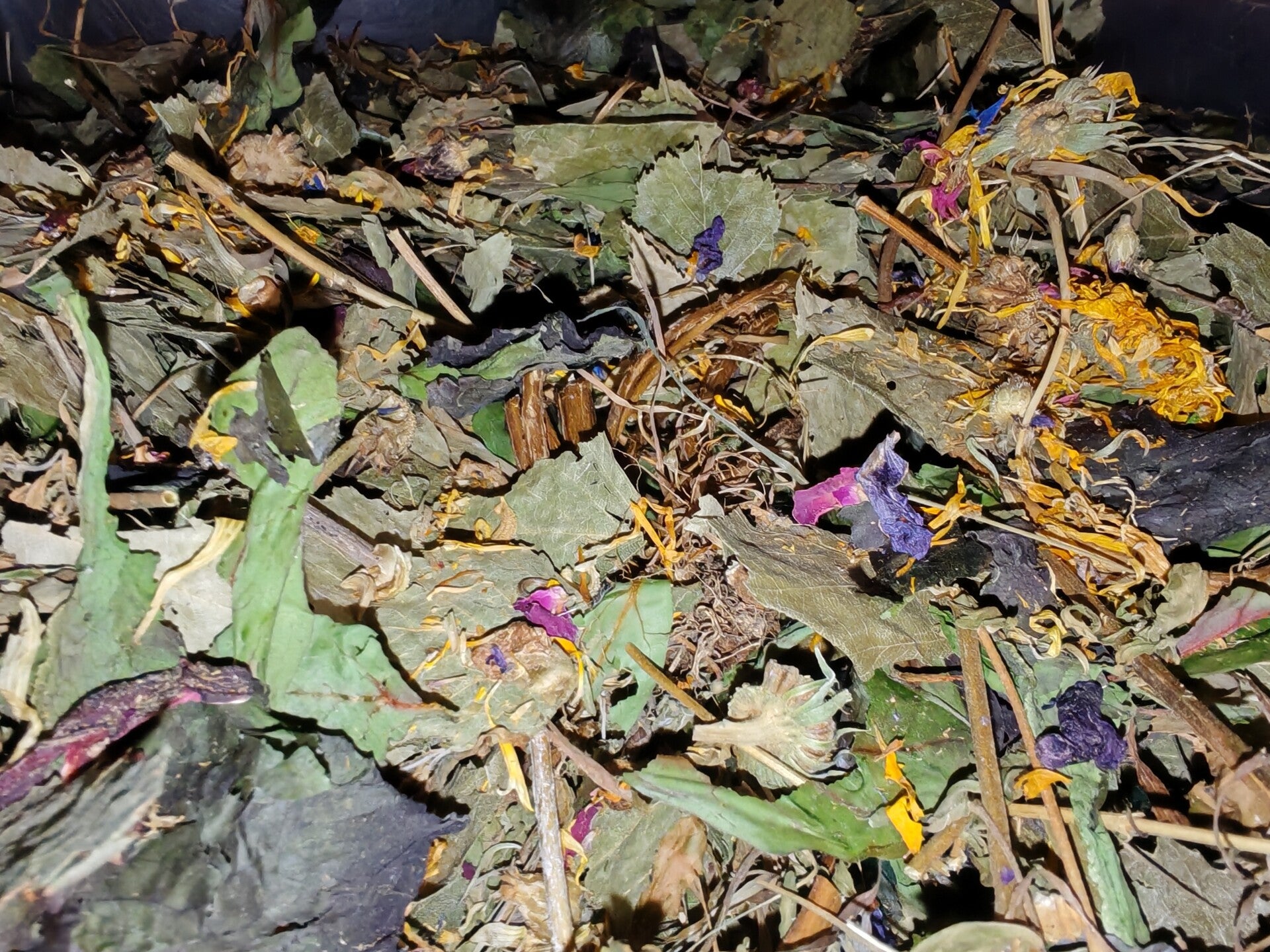 🌿 Kidney & Urinary Support Botanical Mix