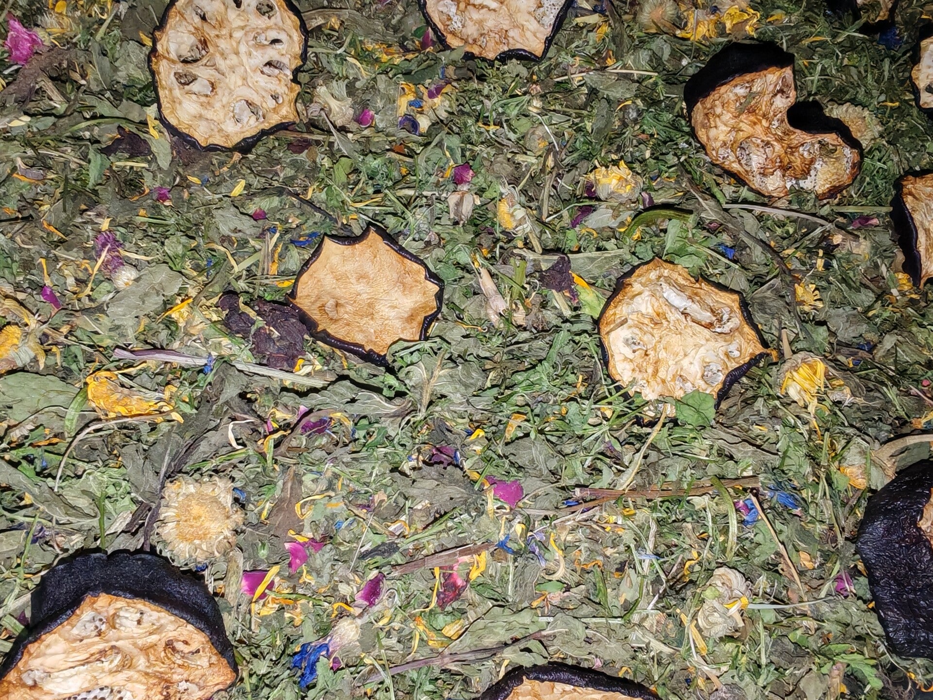 🌿 Seasonal Shield Botanical Forage - 75G