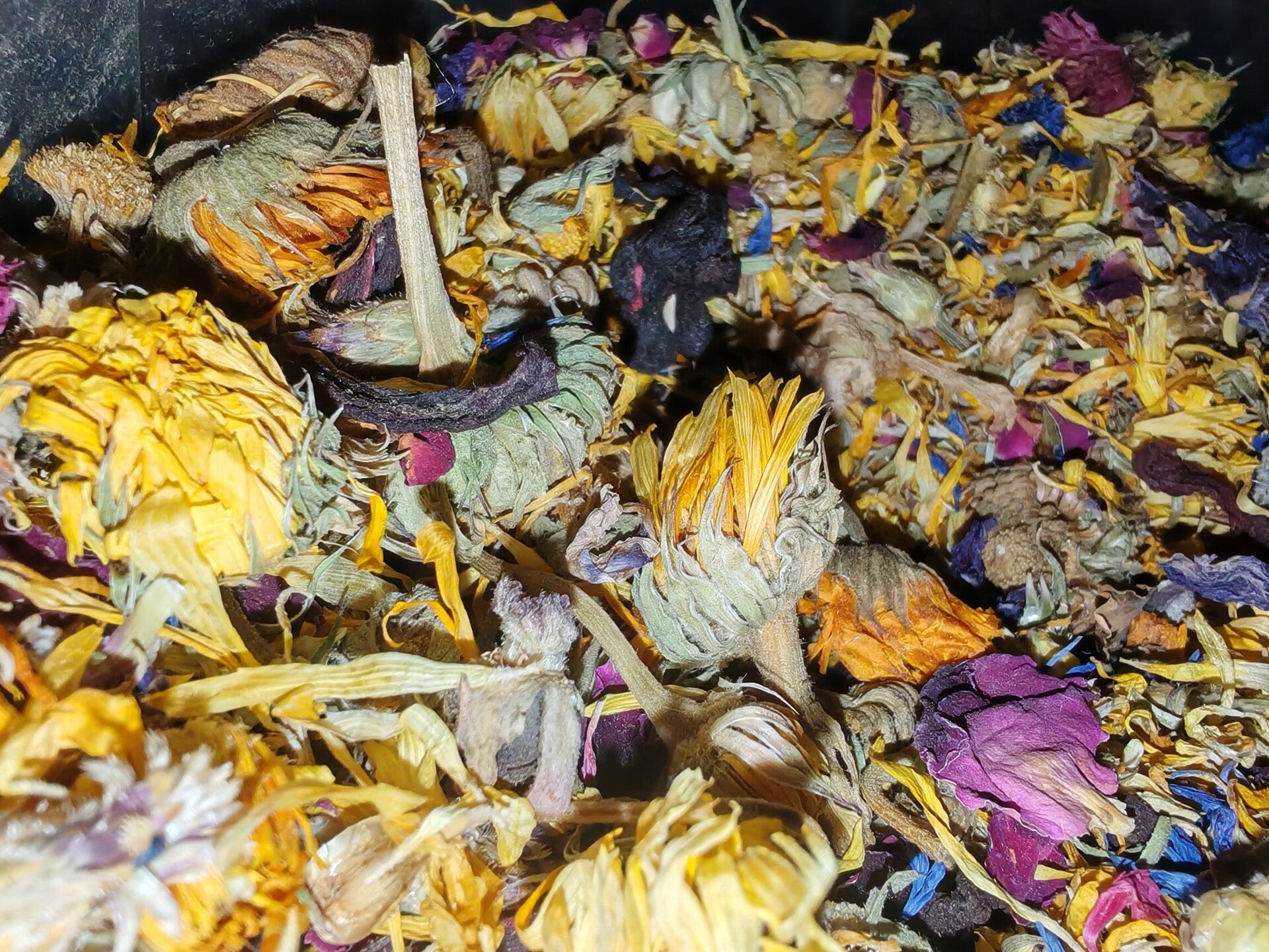 🌸 Botanical Bloom Flower Forage