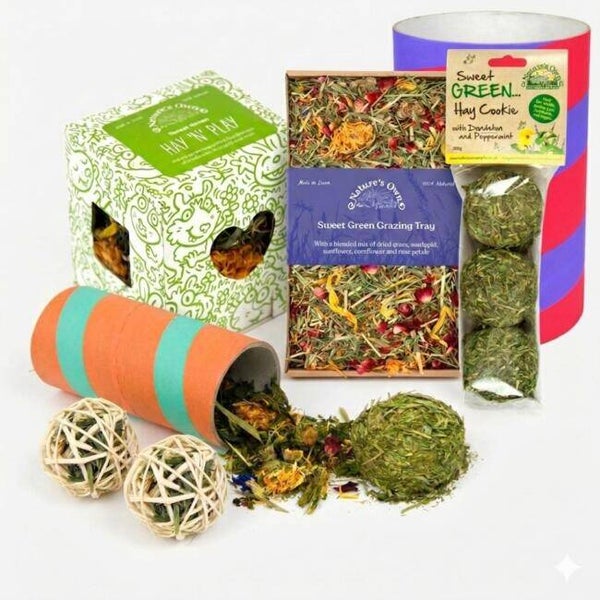 Playtime Bundle