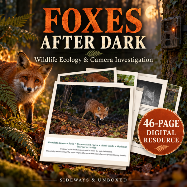 🦊 Foxes After Dark | Wildlife Ecology & Camera Investigation Home Education Resource Pack