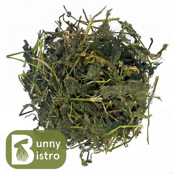 Norfolk Nettle Stalks