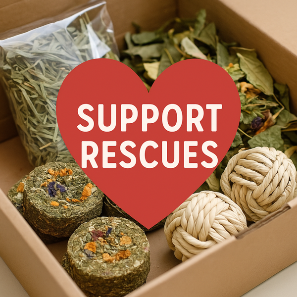 💚 Support Our Rescue Donations
