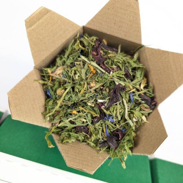 🎄 Festive Forage Celebration Cracker