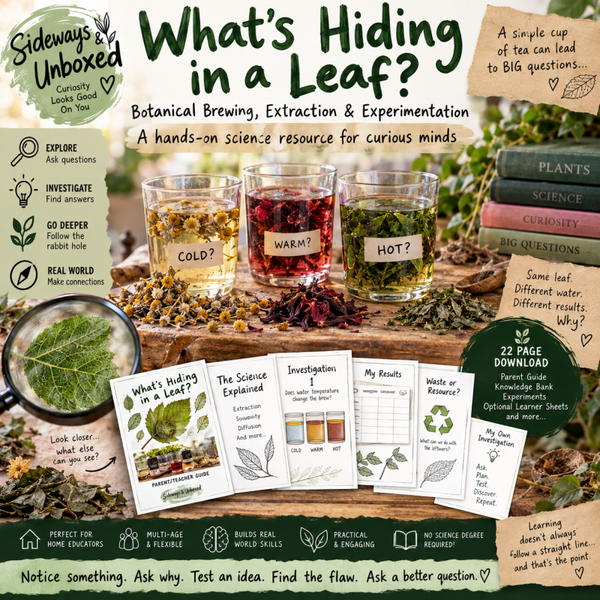🌿 What’s Hiding in a Leaf?
