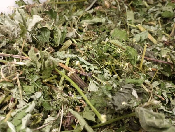 Greens-Gone-Yum Forage
