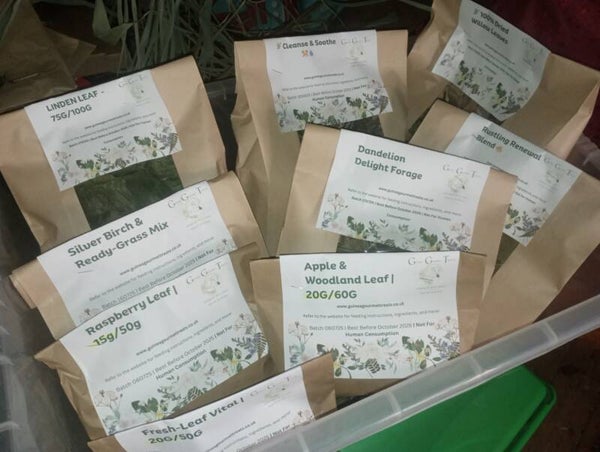 🌟 Bundle of the Week – Forage Favourites Mega Mix 🌿  🌼