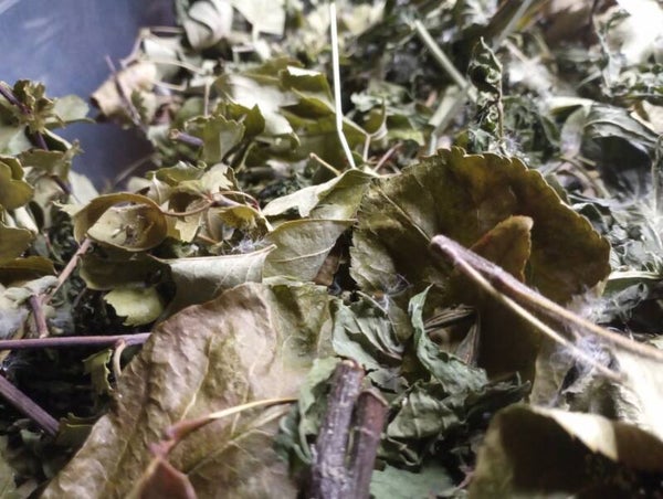 🎃 Witch’s Grove – Halloween Forage Mix