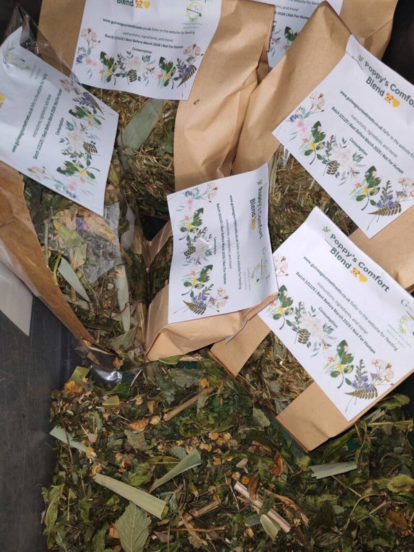 🌿 Poppy’s Comfort Blend 🐹💛