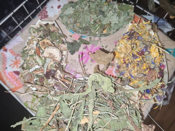 🎄 Festive Forage Boats – Christmas Gift Set