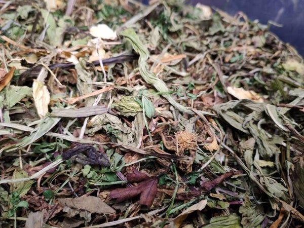 🌿 Cleanse & Soothe  🐹💧,