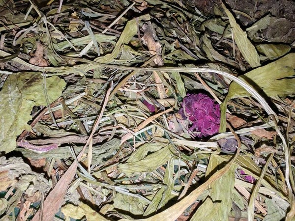 🌸 Chamomile & Lavender Botanical Salad