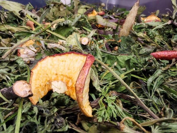 🍎 Meadow Stream Forage