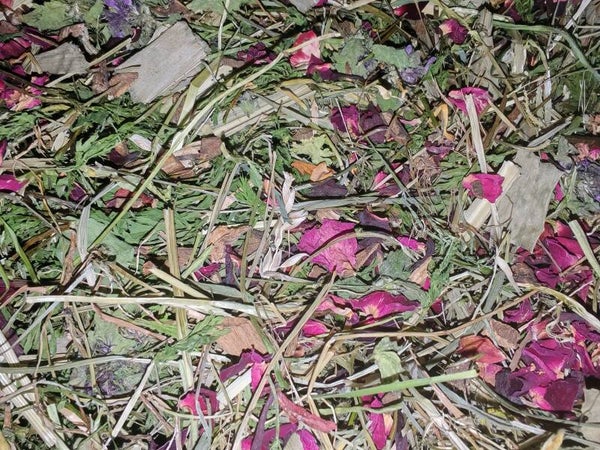 🌿 Root & Restore Forage