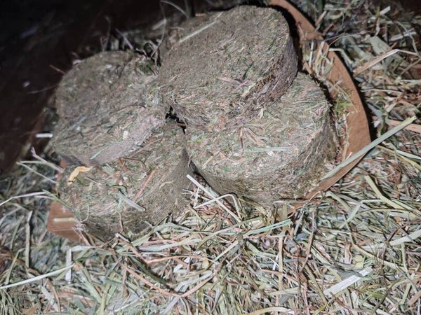 🌾 Rye Hay & Grass Cookies