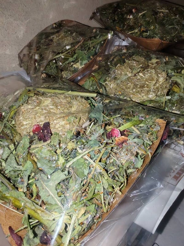 🌿 Sow Thistle Meadow Enrichment Tray