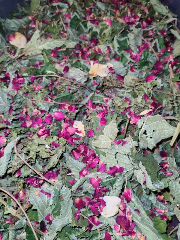 🎄 Winter Rose Browse