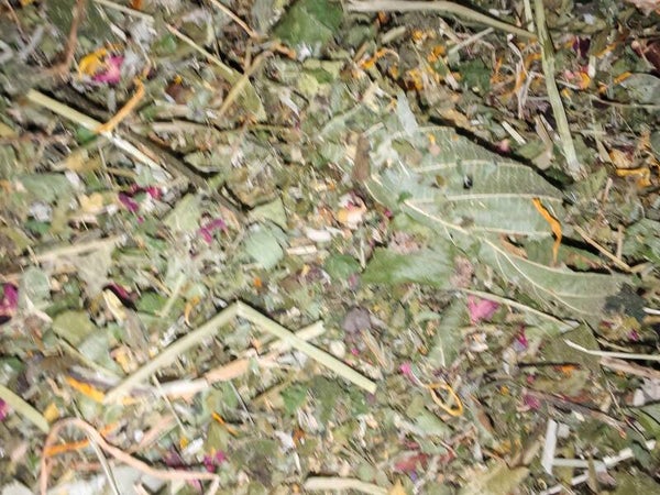 🌿 The Forager’s 1kg Seasonal Mix