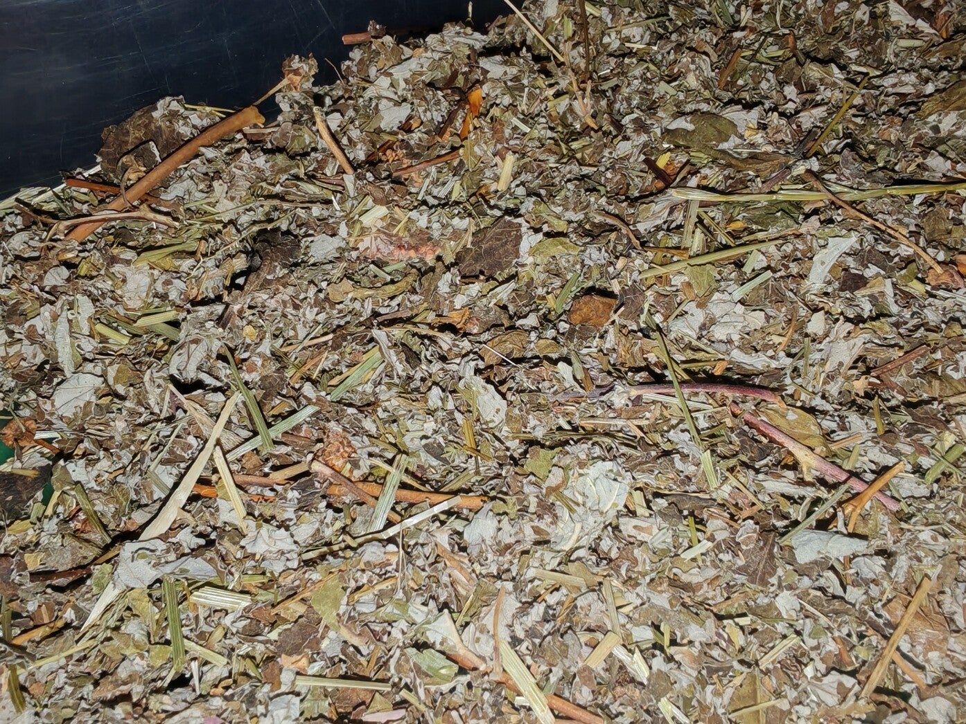 🌿 Raspberry Leaf & Grass Mix (70/30)