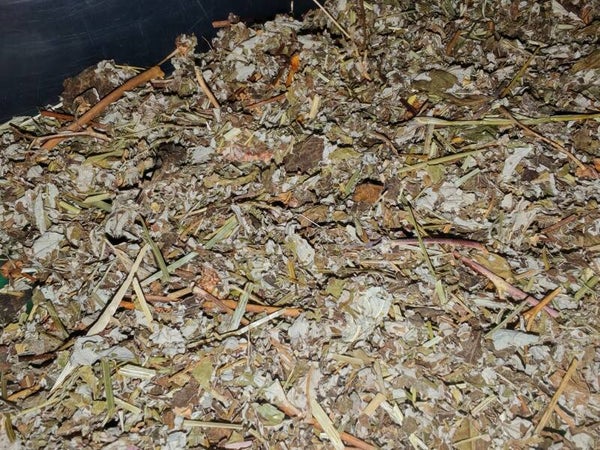 🌿 Raspberry Leaf & Grass Mix (70/30)