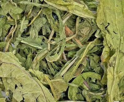 🌼 Whole Dandelion Forage