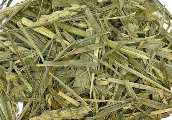 🌾 Green Wheat Forage Hay