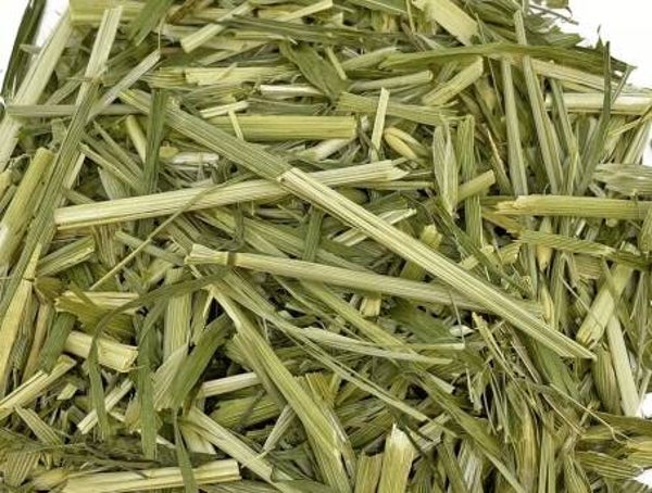 🌾 Green Oat Forage Hay